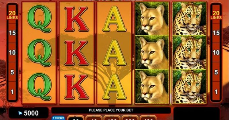 Play Cats Royal, an online slot from EGT slot online for free | Casino New Zealand