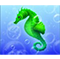 Seahorse