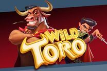 wild bull slot